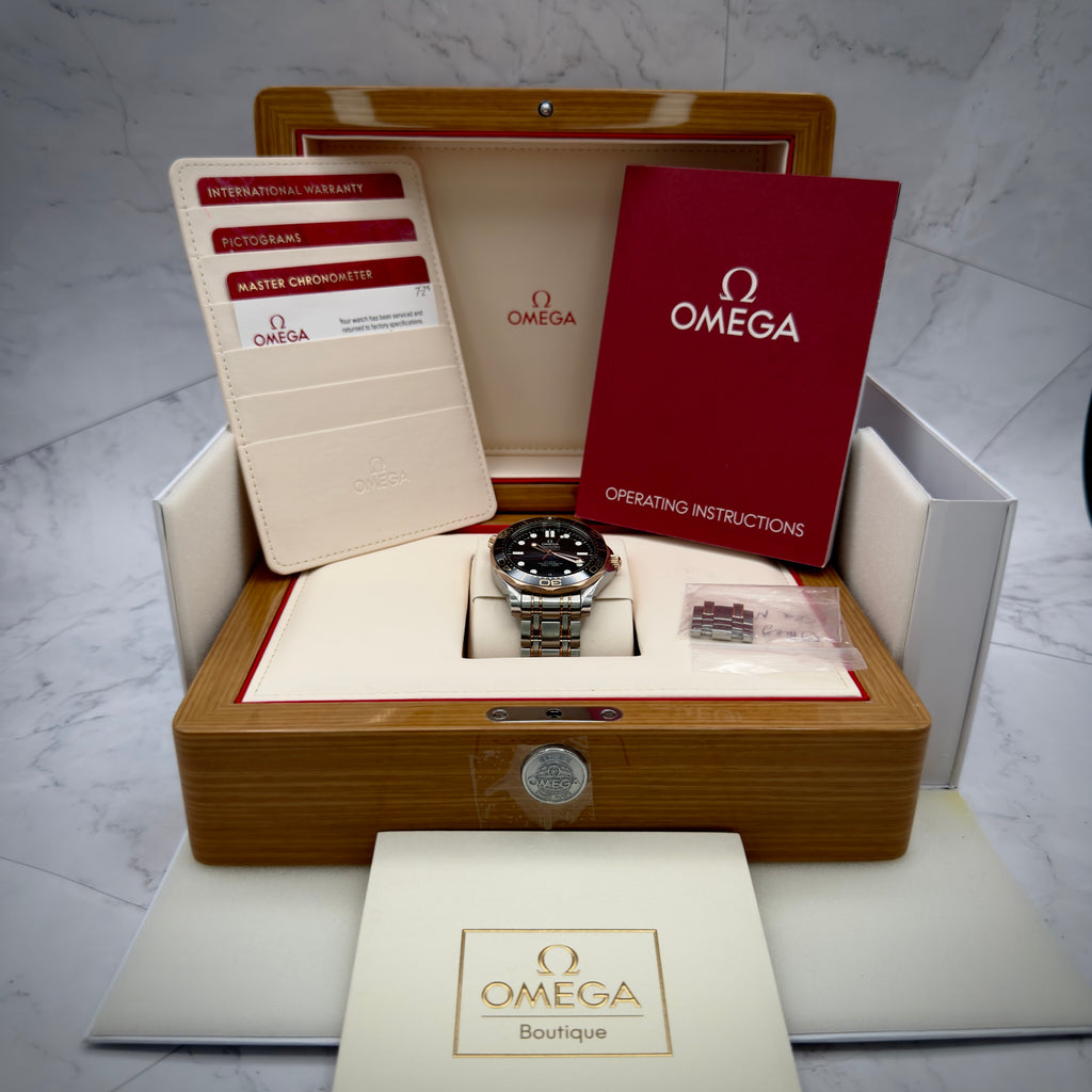 Omega Seamaster Diver 300 M 42mm 210.20.42.20.01.001